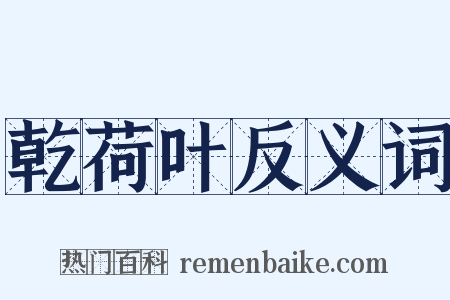 乾荷叶反义词是什么意思的图片